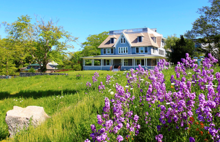 Woodwell Climate Research Center campus, a gray New England house in a meadow of wildflowers